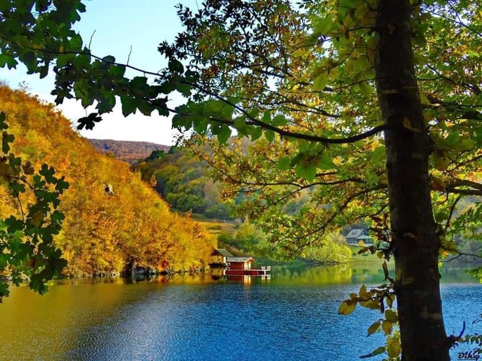 Апартаменти Brvnare Stojic Kokin Brod Екстер'єр фото
